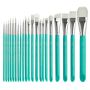 Global Springback Brushes Komplettset 23tlg