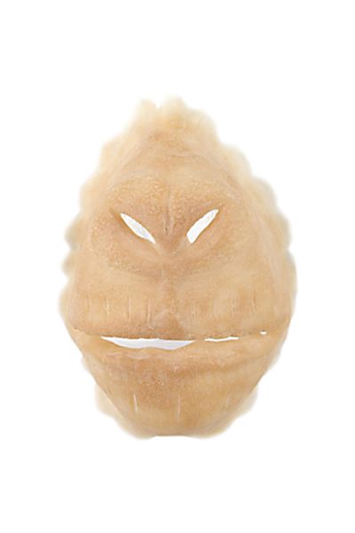Grimas Gesicht Schimpanse